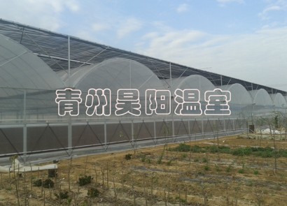 諸城建設(shè)中溫室
