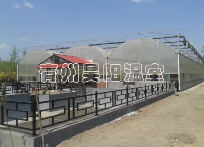 淄博建設(shè)中溫室