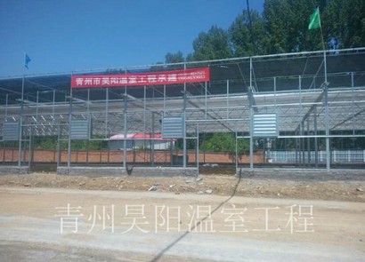 河南欒川蘭花村花卉市場(chǎng)