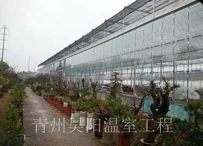煙臺(tái)玻璃溫室