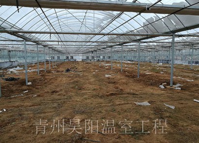 鄒城御康生態(tài)糧倉(cāng)基地