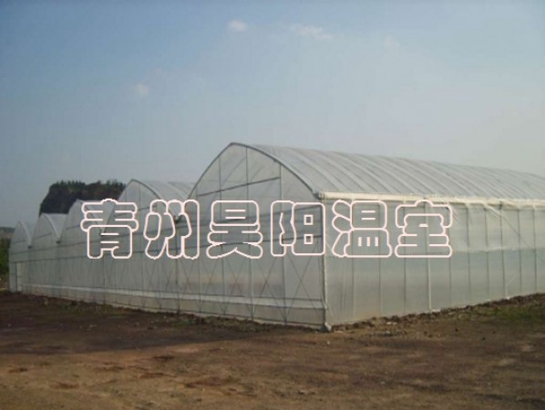 智能連棟膜溫室