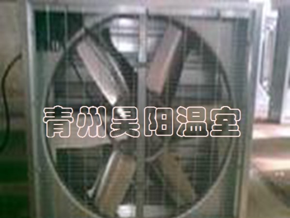 風(fēng)機(jī)