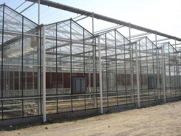 Venlo glass PC greenhouse